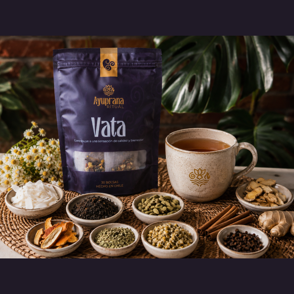 Vata - Calidez y Bienestar - 30 Bolsitas de Té